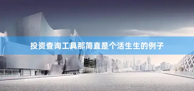 投资查询工具那简直是个活生生的例子