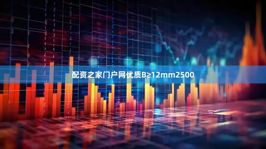 配资之家门户网优质B≥12mm2500