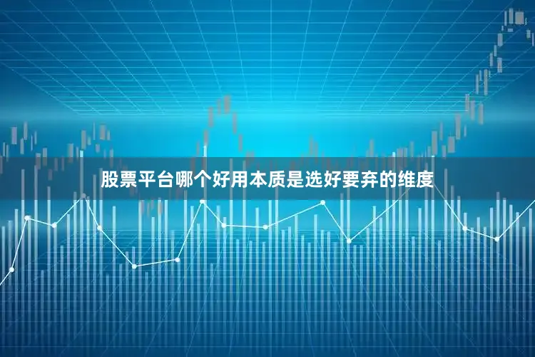 股票平台哪个好用本质是选好要弃的维度