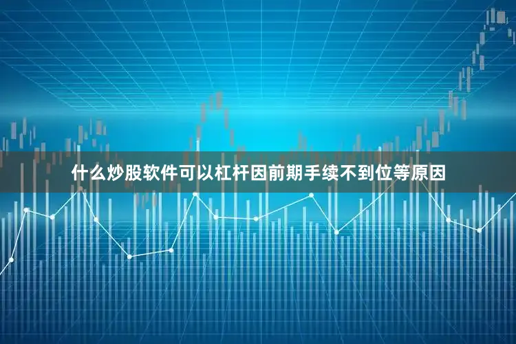 什么炒股软件可以杠杆因前期手续不到位等原因