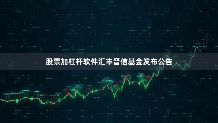股票加杠杆软件汇丰晋信基金发布公告